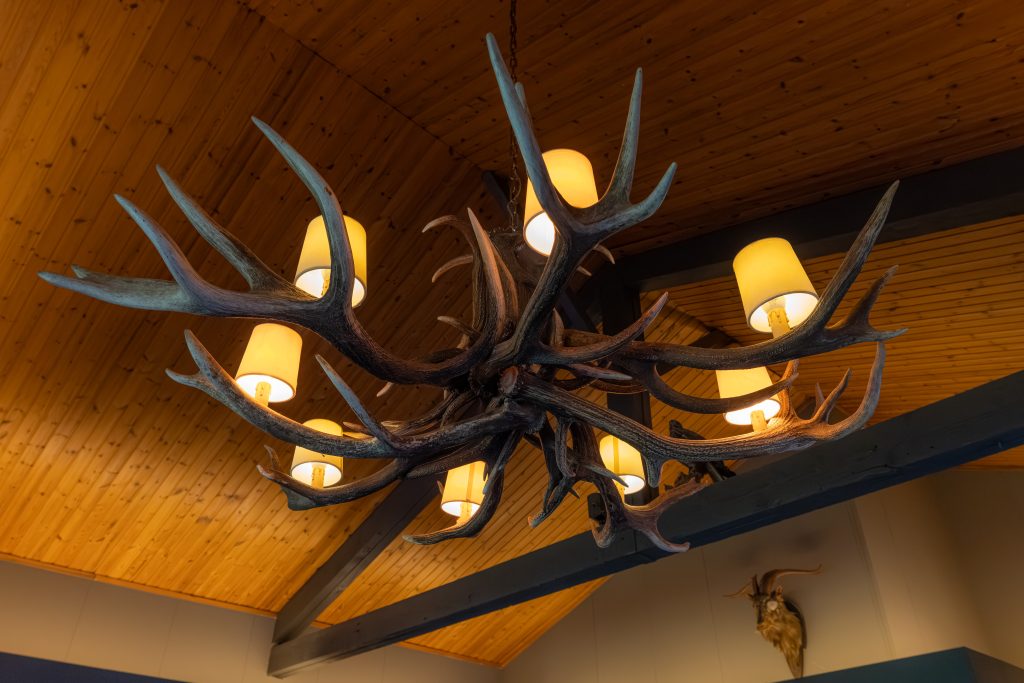 0043WILHELMINATOREN-BOKKERIJDER-MEI-2025byIMAGEYES.com-hi-res