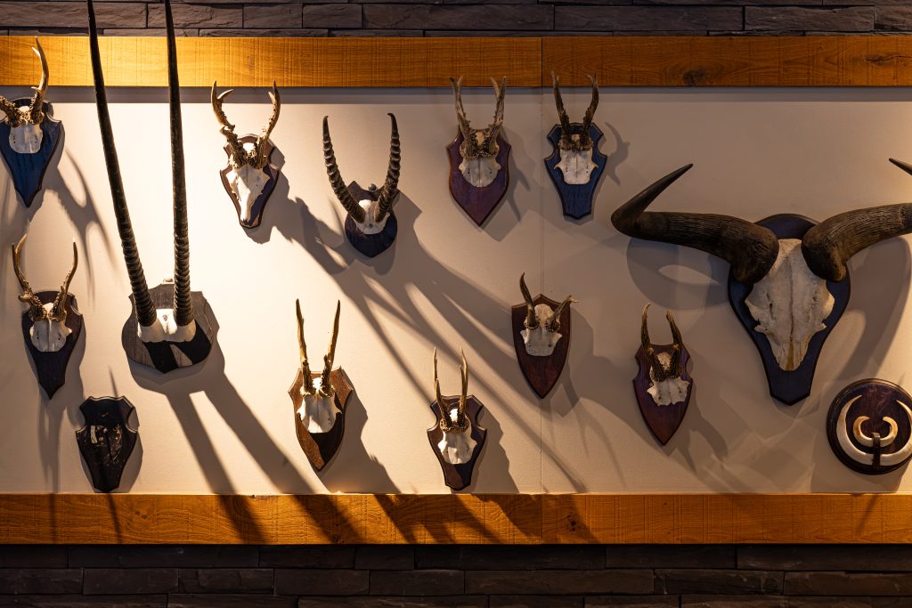 0049WILHELMINATOREN-BOKKERIJDER-MEI-2025byIMAGEYES.com-hi-res