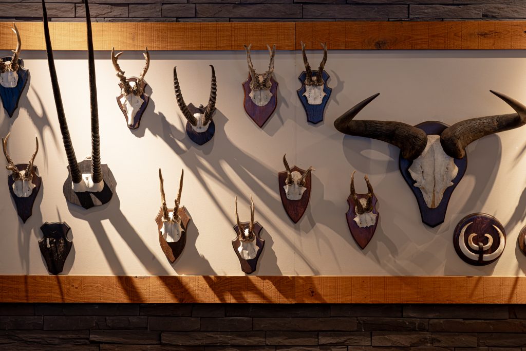 0075WILHELMINATOREN-BOKKERIJDER-MEI-2025byIMAGEYES.com-hi-res